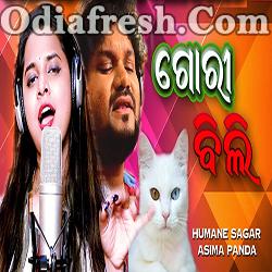 Gori Bili - Odia New Masti Song By Humane Sagar, Asima Panda
